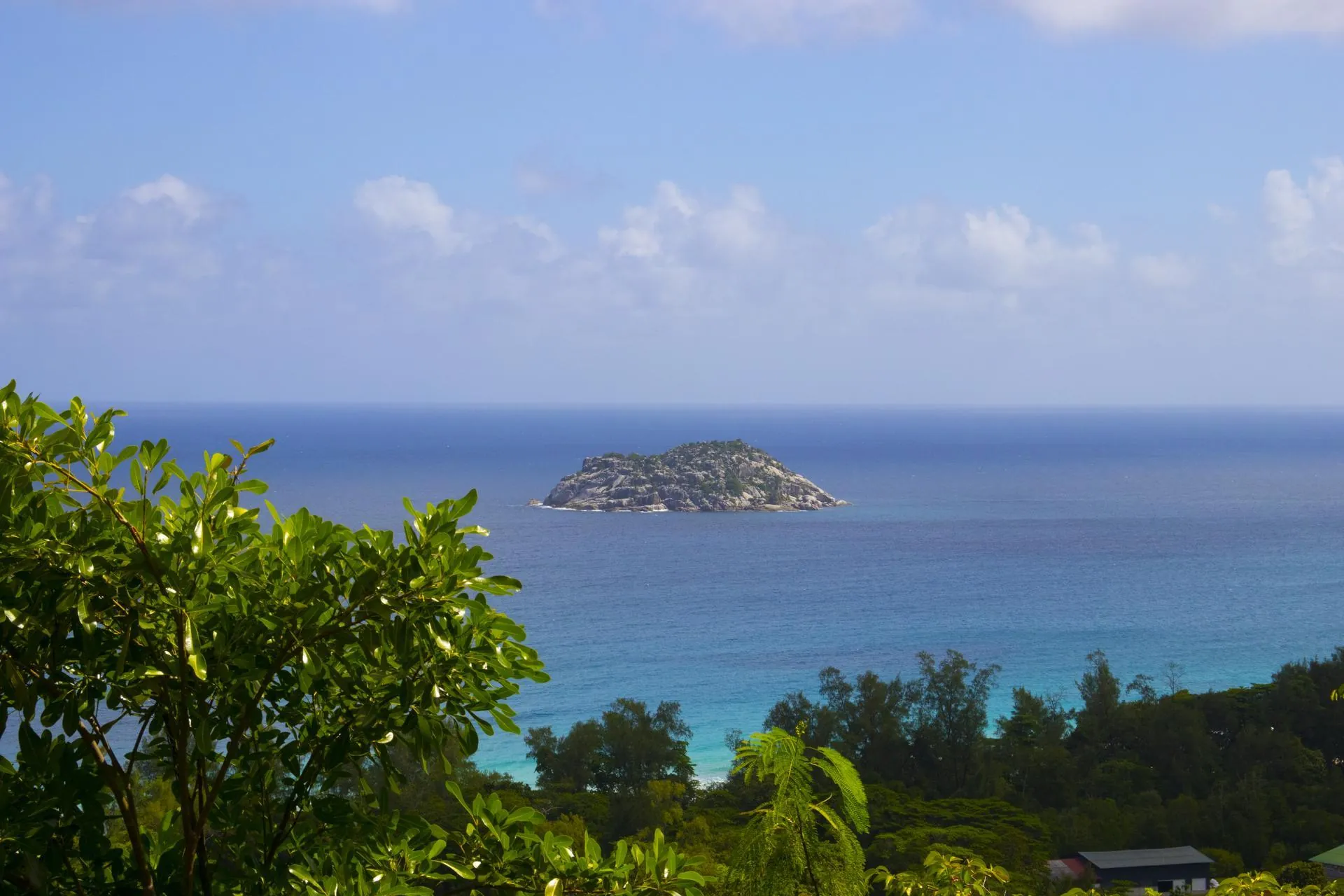 Mahe Island nature near Empathia Village